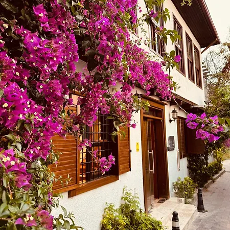 Villa Nills *